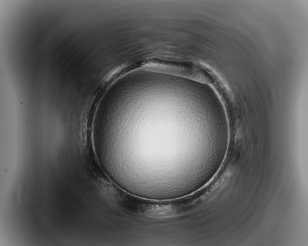 X0000087691313200705111312