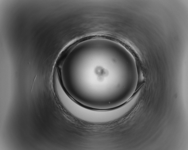 X0000087691316200705111312