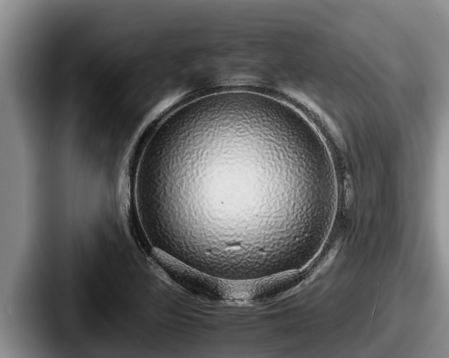 X0000087691317200705111312