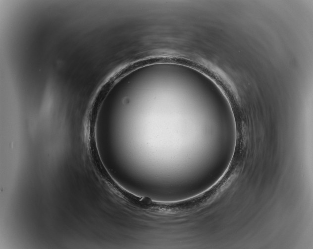 X0000087691318200705111312