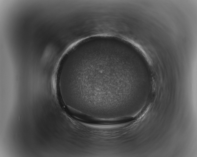 X0000087691319200705111312