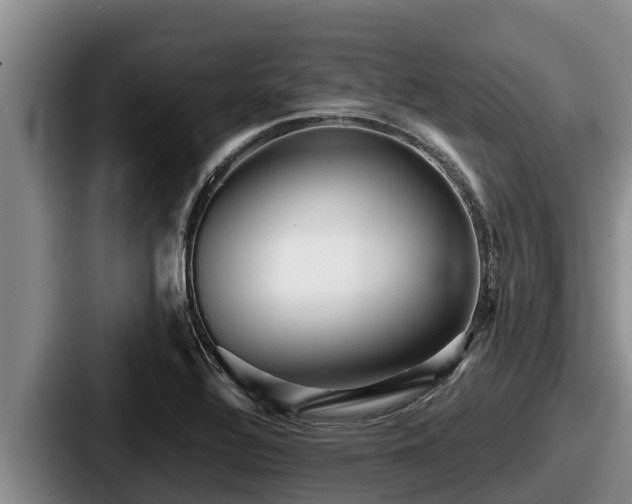 X0000087691320200705111312
