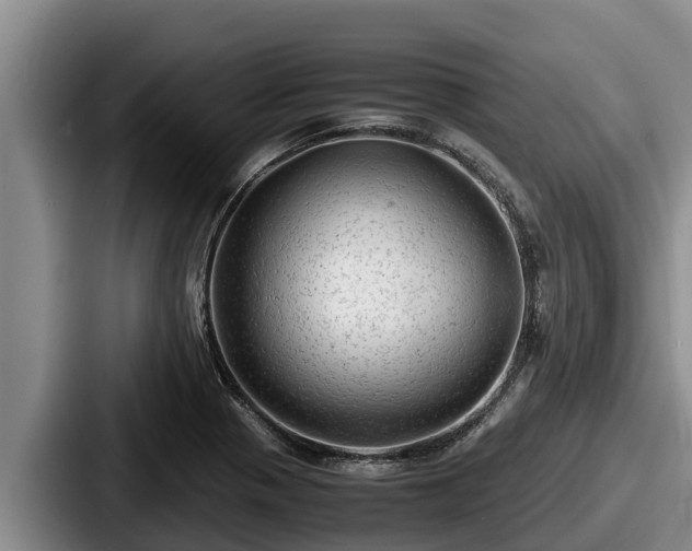 X0000087691321200705111312