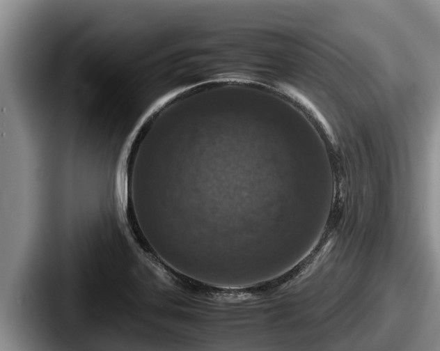 X0000087691323200705111312