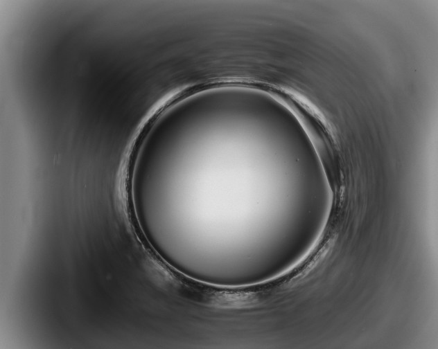 X0000087691325200705111312