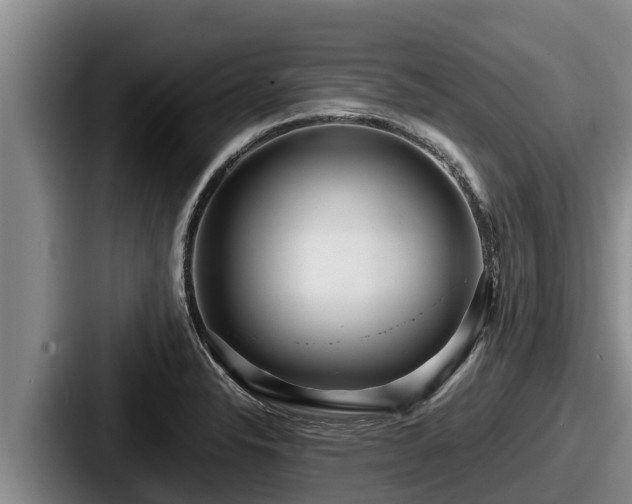 X0000087691326200705111313