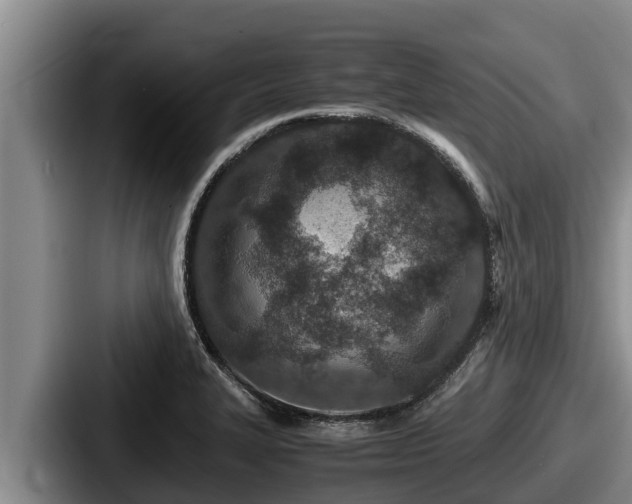 X0000087691327200705111313