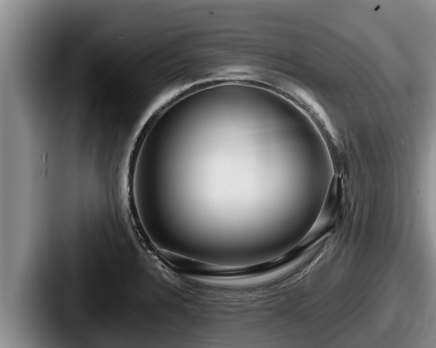 X0000087691328200705111313