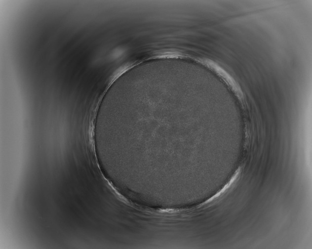X0000087691329200705111313