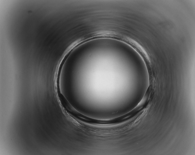 X0000087691330200705111313