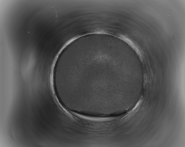 X0000087691331200705111313