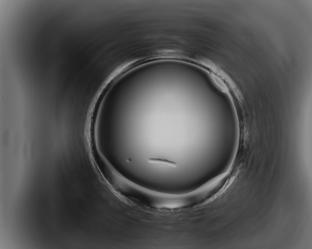 X0000087691333200705111313