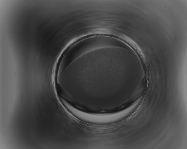 X0000087691334200705111313