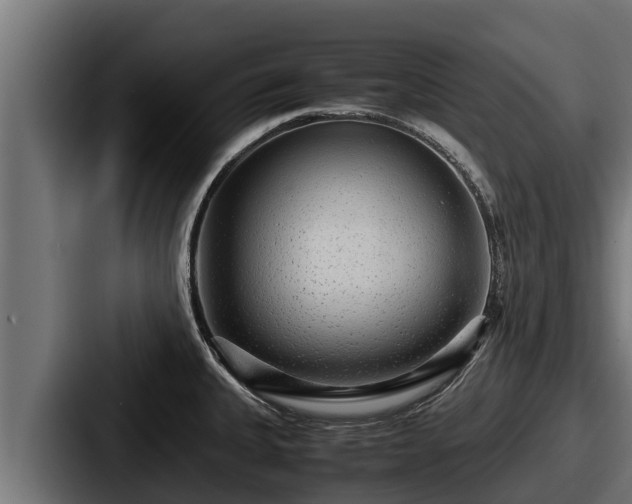 X0000087691335200705111313