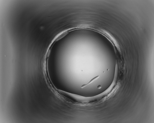 X0000087691340200705111313