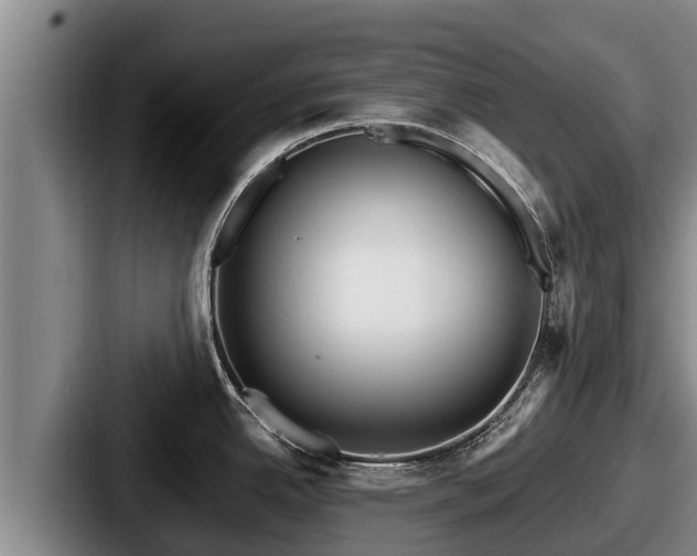 X0000087691342200705111313
