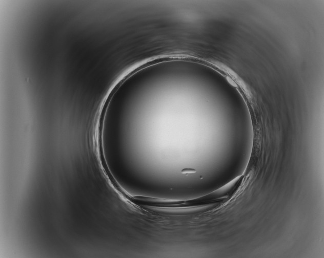 X0000087691343200705111313