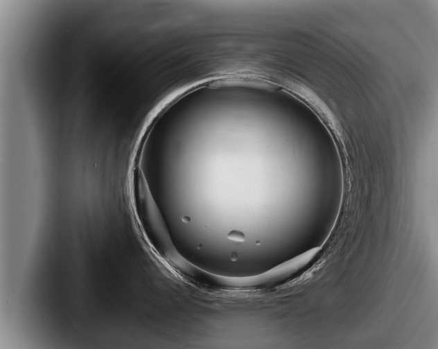 X0000087691344200705111313