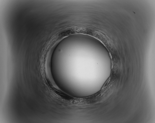 X0000087691345200705111312