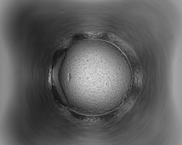 X0000087691346200705111312