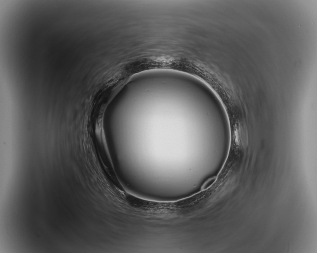 X0000087691347200705111312