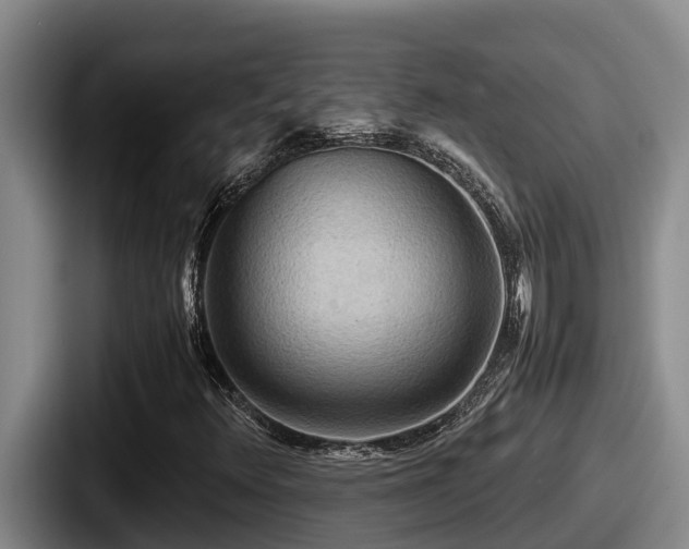 X0000087691348200705111312