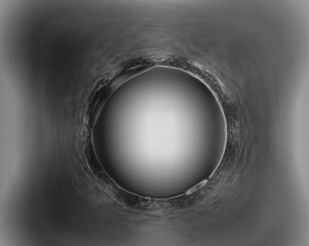 X0000087691349200705111312