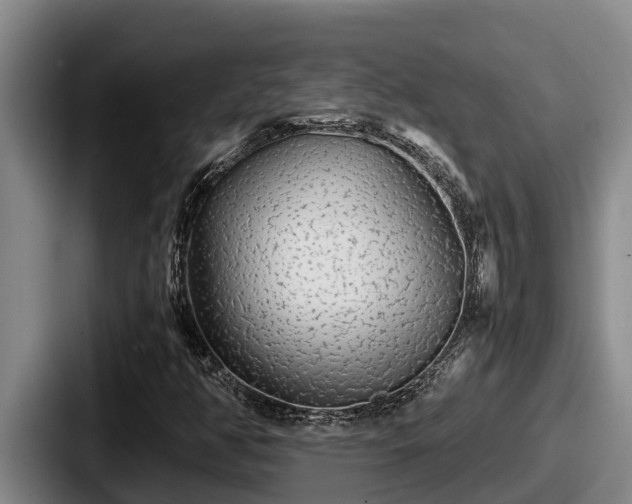 X0000087691350200705111312