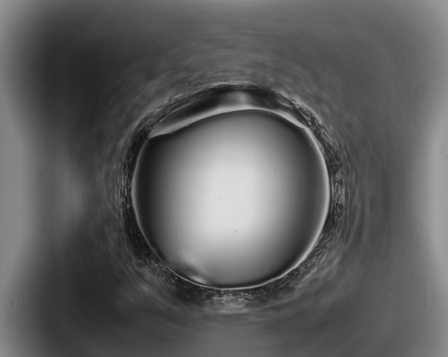 X0000087691351200705111312