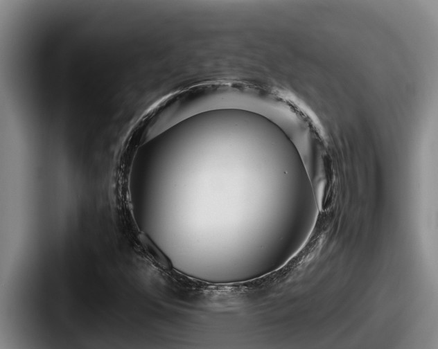 X0000087691352200705111312