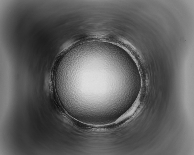 X0000087691354200705111312
