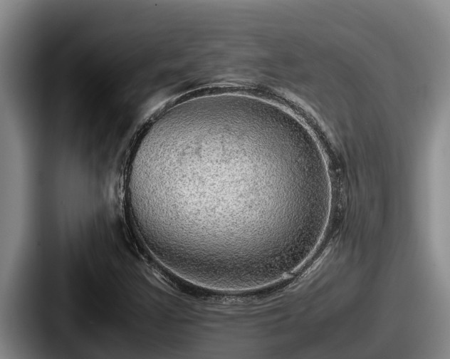 X0000087691355200705111312