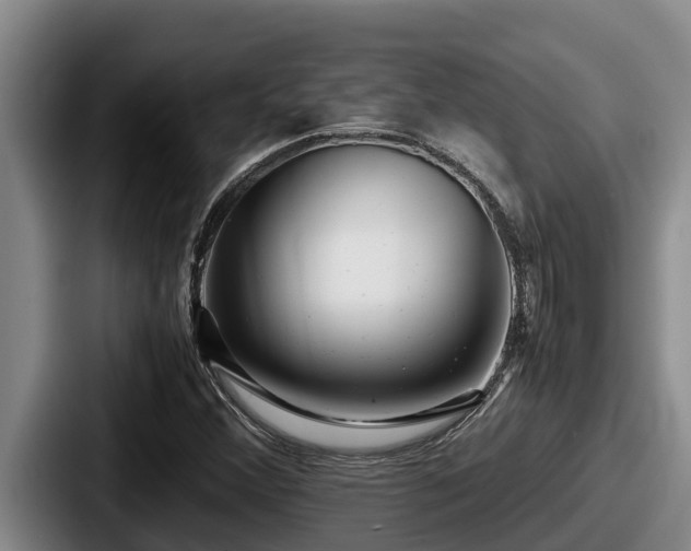 X0000087691356200705111312