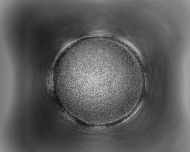 X0000087691358200705111312