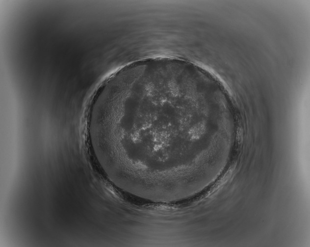 X0000087691359200705111312