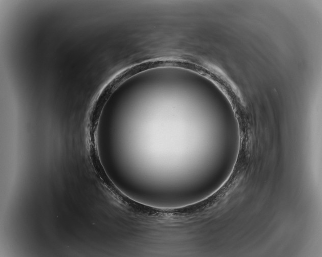 X0000087691360200705111312