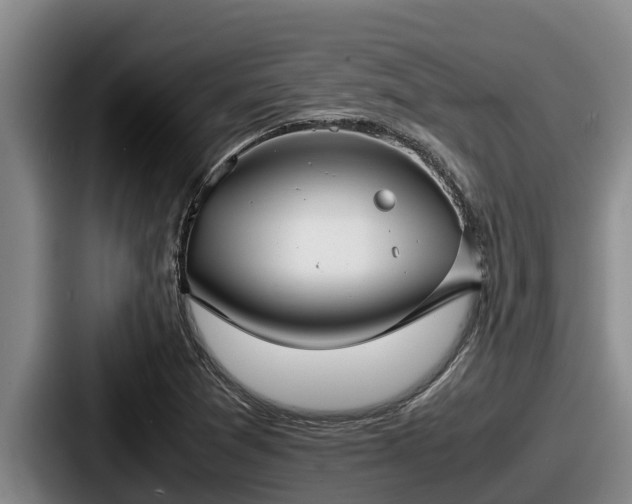 X0000087691361200705111312