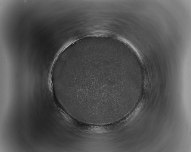 X0000087691362200705111312
