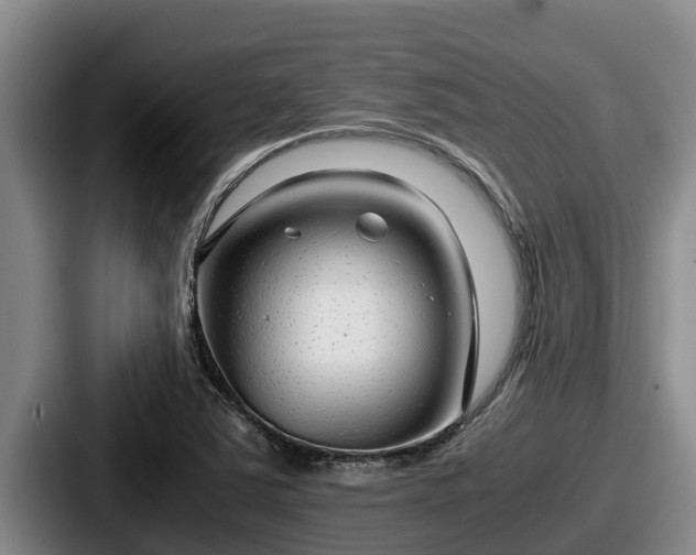 X0000087691363200705111312