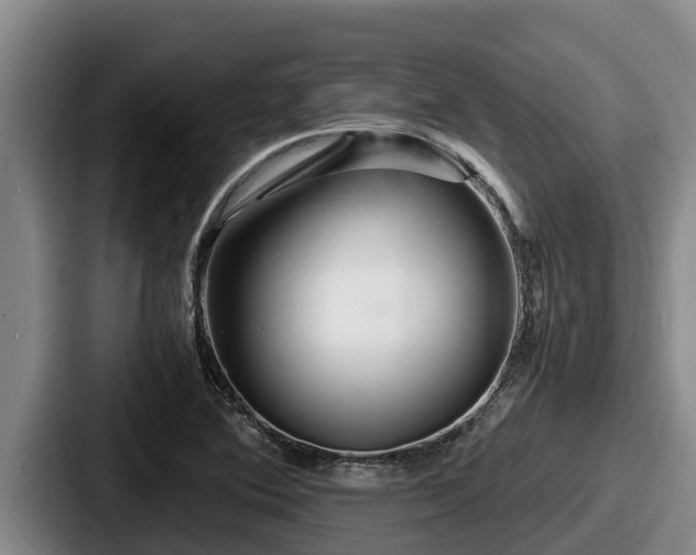 X0000087691364200705111312