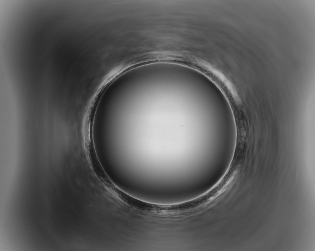 X0000087691365200705111312