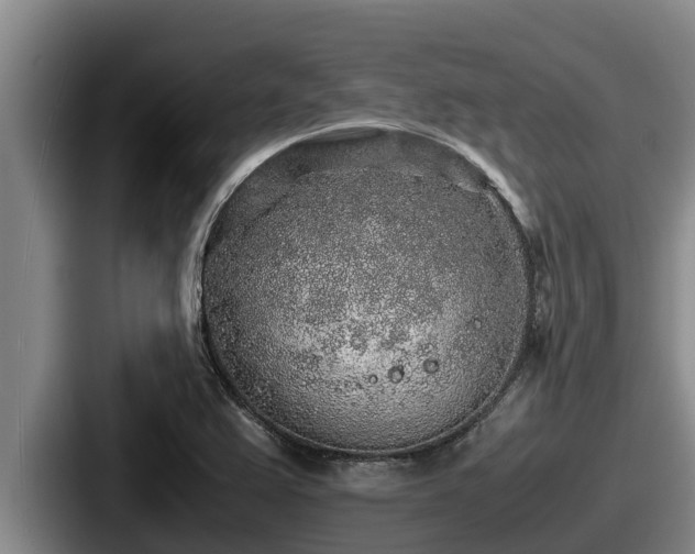X0000087691367200705111312