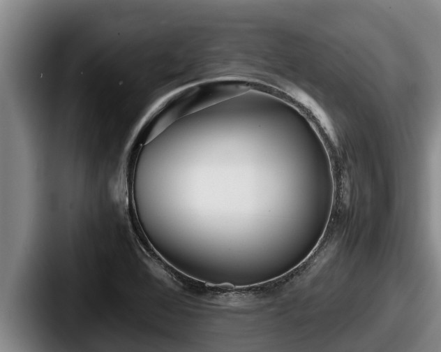 X0000087691368200705111312