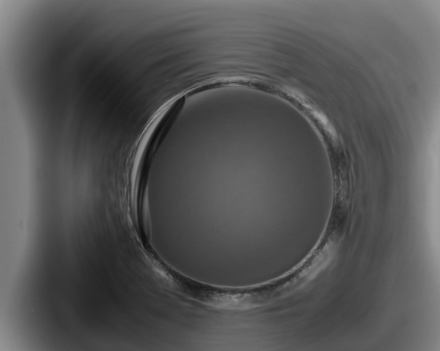 X0000087691369200705111312