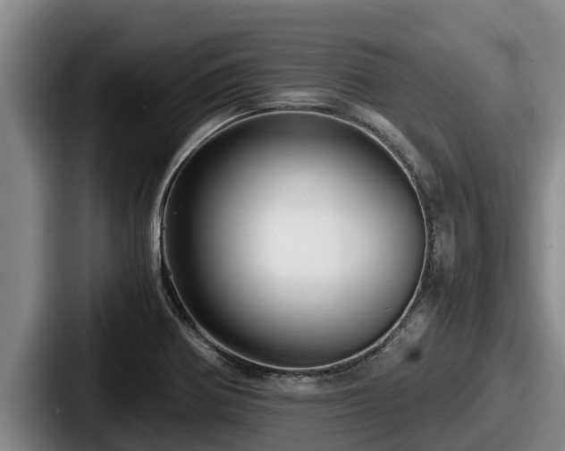 X0000087691370200705111312