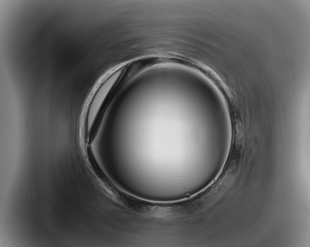 X0000087691371200705111312