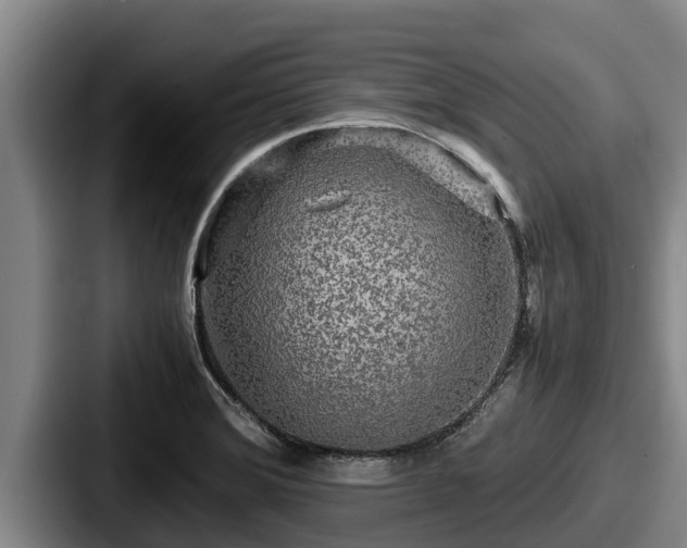 X0000087691372200705111312