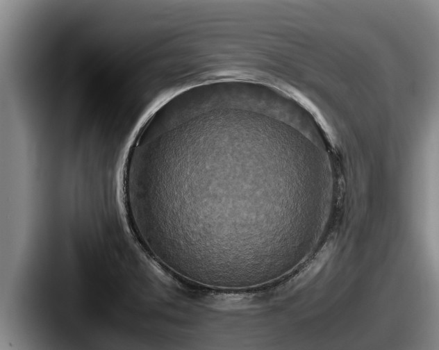 X0000087691373200705111312
