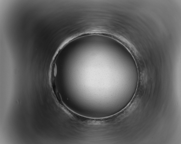 X0000087691374200705111312