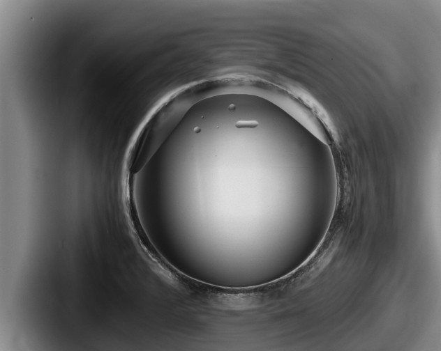 X0000087691376200705111312
